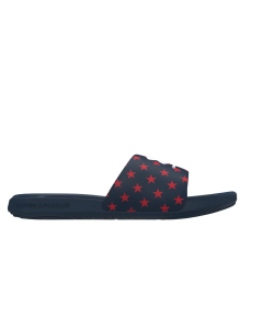 UA Ansa Graphic Slides