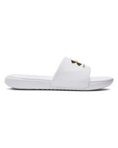 UA Ansa Graphic Logo Slides