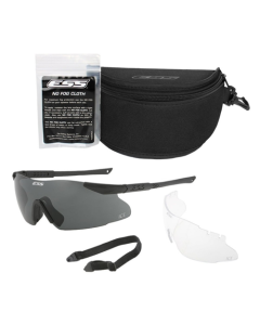 ESS ICE 2 Unit Issue