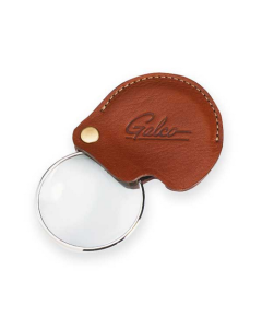 Magnifying Glass w/ Case