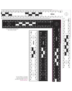 Reversible Scales (Set of 2) PPS600 & PPS601