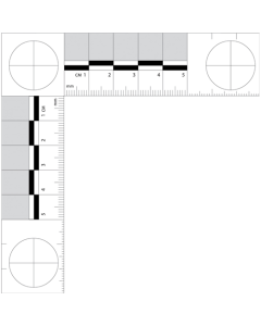 Forensic Scale 105mm x 105mm