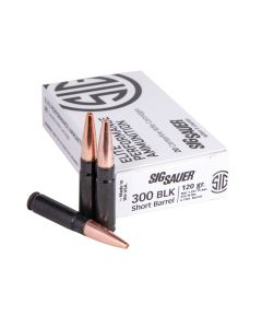 Elite Performance SBR 300BLK