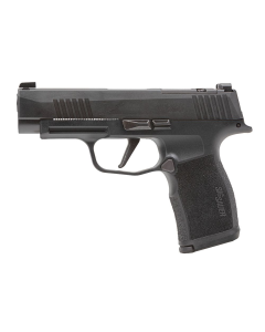SS365XL9BXR3PMS10